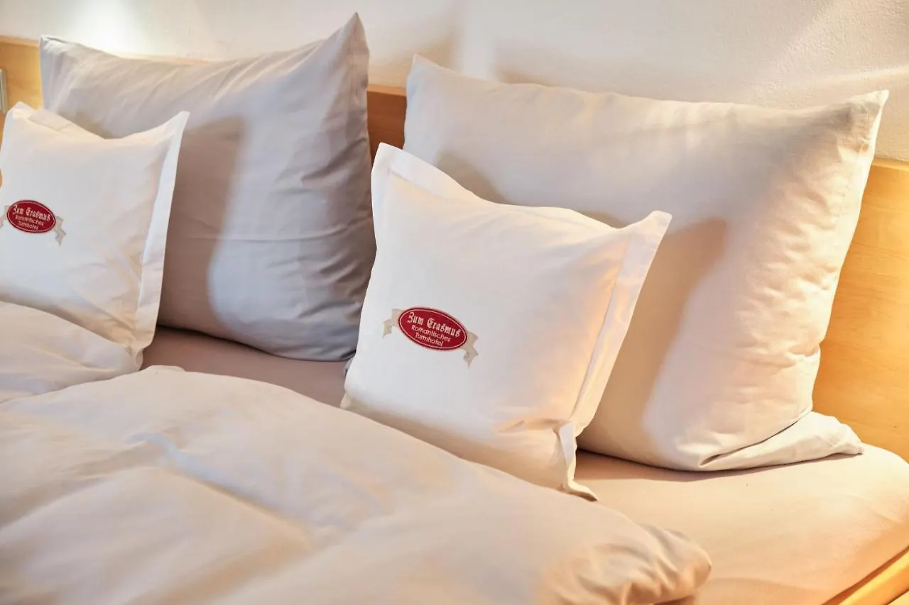 Turmhotel Zum Erasmus Kelheim Germany